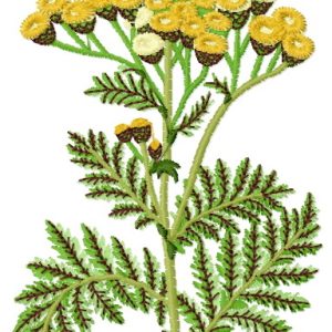 Tansy embroidery design
