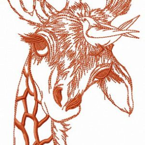 Thinking about birds embroidery design
