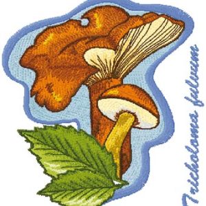 Tricholoma Fulvum embroidery design