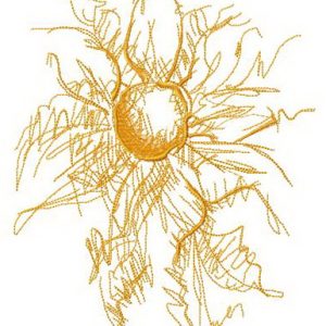 Unclear outlines of flower embroidery design