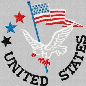 USA Eagle embroidery design