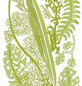 Various herbs embroidery design