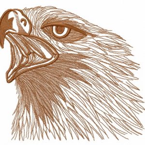 Wild eagle 2 embroidery design