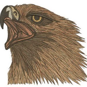 Wild eagle embroidery design